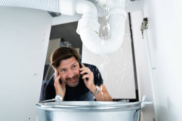 Best Sprinkler Systems  in Apalachicola, FL